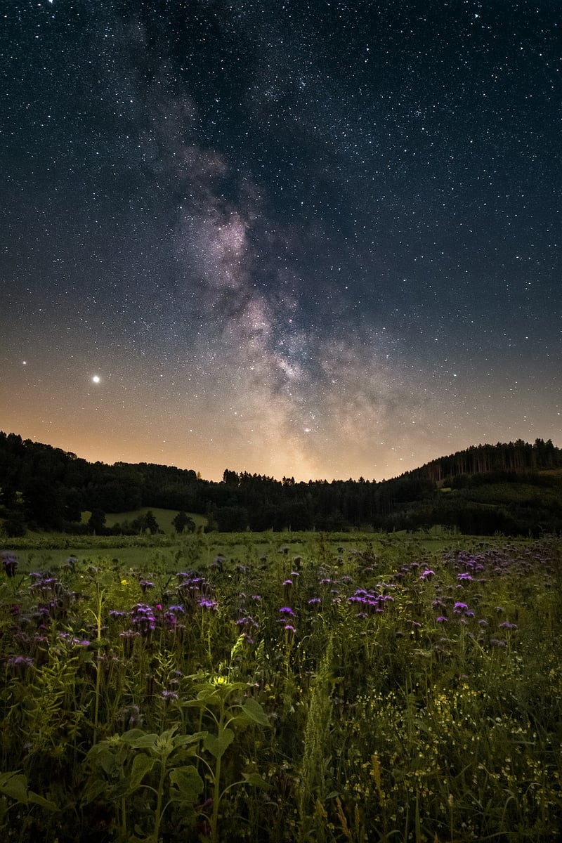 Galactic Garden